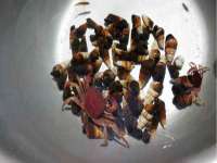 盐城市星火广告传媒有限公司