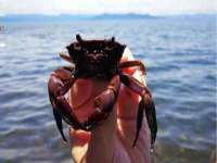 盐城市星火广告传媒有限公司