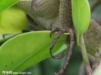 盐城市星火广告传媒有限公司