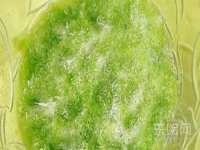 盐城市星火广告传媒有限公司