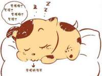 盐城市星火广告传媒有限公司