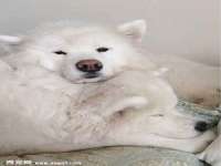 盐城市星火广告传媒有限公司
