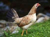 盐城市星火广告传媒有限公司