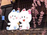 盐城市星火广告传媒有限公司