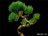 盐城市星火广告传媒有限公司