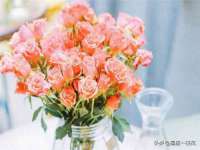 盐城市星火广告传媒有限公司