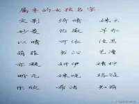 盐城市星火广告传媒有限公司