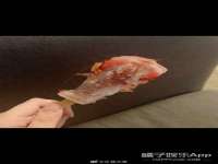盐城市星火广告传媒有限公司
